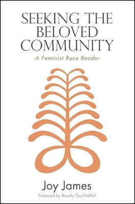 Seeking the Beloved Community: A Feminist Race Reader by James, Joy