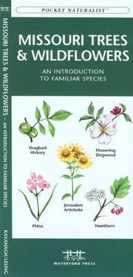 Oklahoma Trees & Wildflowers: An Introduction to Familiar Species by Kavanagh, James