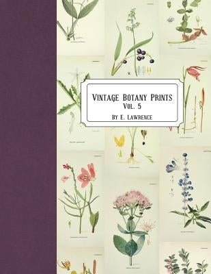 Vintage Botany Prints: Vol. 5 by Lawrence, E.