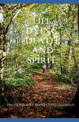 Life, Dying, Death, and Spirit: (Understanding the process) by O'Callaghan, Brendan