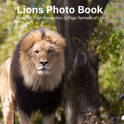 Lions Photo Book: 14 Beautiful, High-Resolution, 2-Page Spreads of Lions by Cason, Shalone