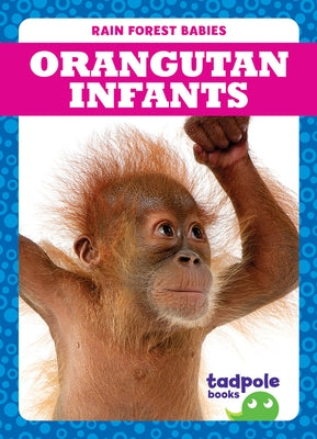 Orangutan Infants by Nilsen, Genevieve
