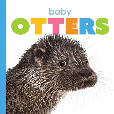 Baby Otters by Riggs, Kate