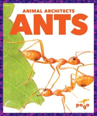 Ants by Latchana Kenney, Karen