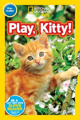 Play, Kitty! by Evans, Shira