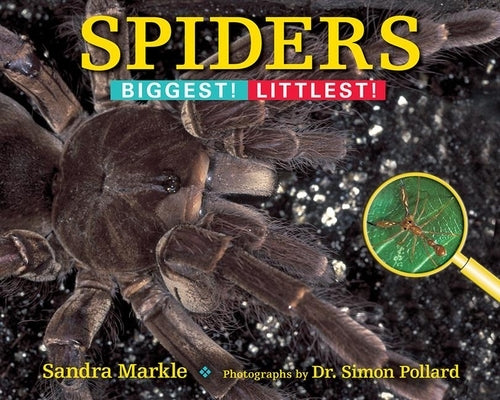 Spiders: Biggest! Littlest! by Markle, Sandra