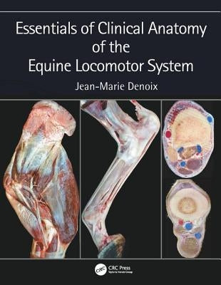 Essentials of Clinical Anatomy of the Equine Locomotor System by Denoix, Jean-Marie