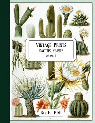 Vintage Prints: Cactus Prints by Bell, E.