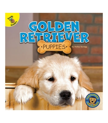 Golden Retriever Puppies by Scragg