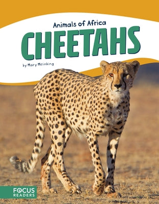 Cheetahs by Meinking, Mary