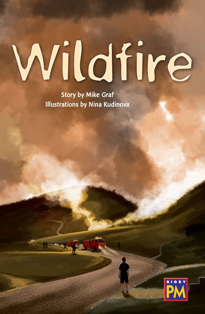 Wildfire!: Leveled Reader Ruby Level 28 by Rg, Rg