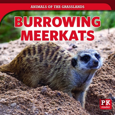 Burrowing Meerkats by Emminizer, Theresa