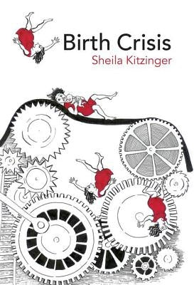 Birth Crisis by Kitzinger, Sheila