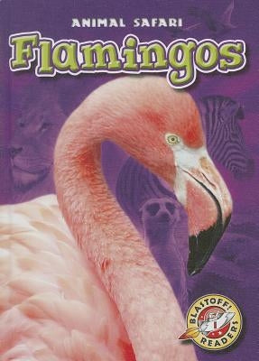 Flamingos by Borgert-Spaniol, Megan