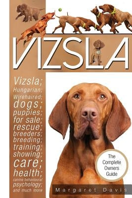 Vizsla by Davis, Margaret