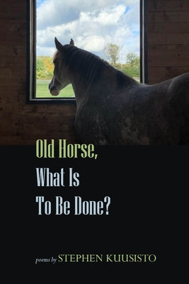 Old Horse, What Is to Be Done? by Kuusisto, Stephen