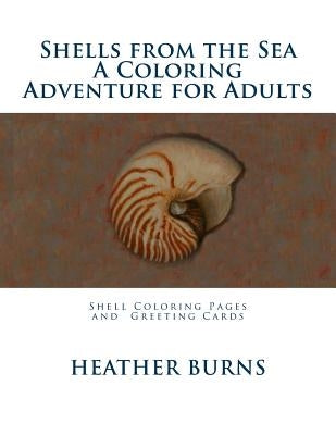Shells From the Sea: Coloring Pages and Greeting Cards by Burns, Heather