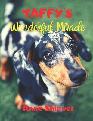 Taffy's Wonderful Miracle Story: AN EASY READER CHILDREN'S STORY & COLORING BOOK about a Silver Dapple Dachshund's adventures and a great miracle too! by Shiever, Anne