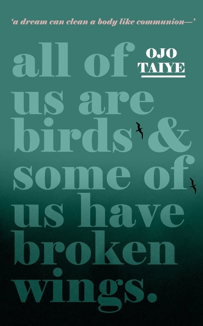 All of Us are Birds and Some of Us Have Broken Wings by Taiye, Ojo