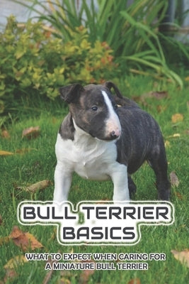Bull Terrier Basics: What To Expect When Caring For A Miniature Bull Terrier: How To Train A Bull Terrier To Walk On A Leash by Alcini, Quentin