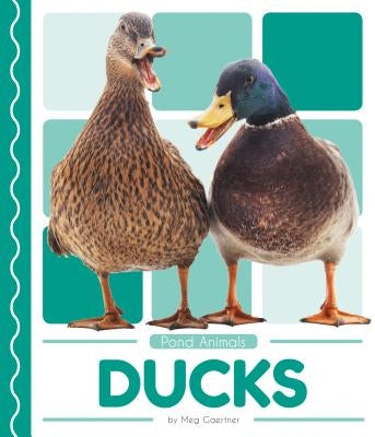 Ducks by Gaertner, Meg