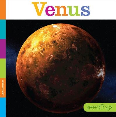 Venus by Dittmer, Lori