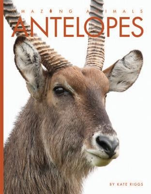 Antelopes by Riggs, Kate