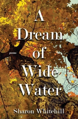A Dream of Wide Water by Whitehill, Sharon