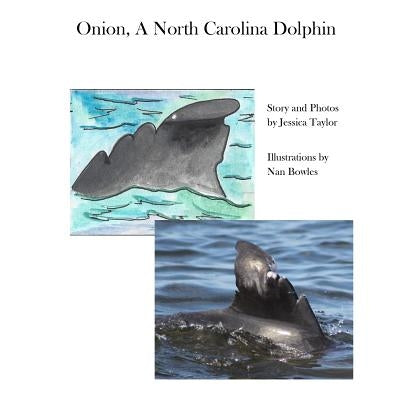 Onion, a North Carolina Dolphin by Taylor, Jessica Sarah
