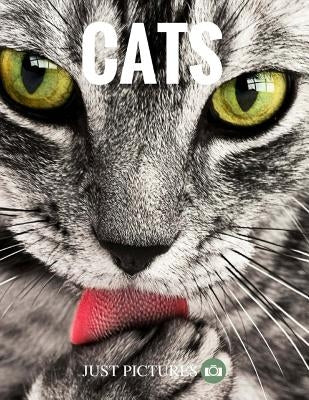 Cats by Pictures!, Just