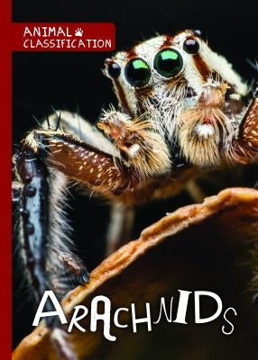 Arachnids by Brundle, Joanna