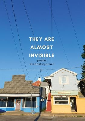 They Are Almost Invisible by Carmer, Elizabeth
