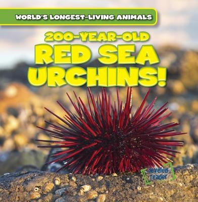 200-Year-Old Red Sea Urchins! by Evans, Topper