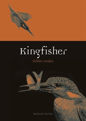 Kingfisher by Szabo, Ildiko