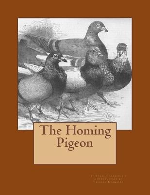 The Homing Pigeon by Chambers, Jackson