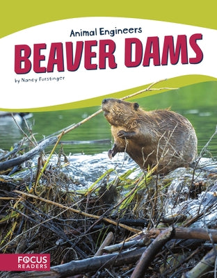 Beaver Dams by Furstinger, Nancy