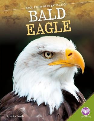 Bald Eagle by Yasuda, Anita