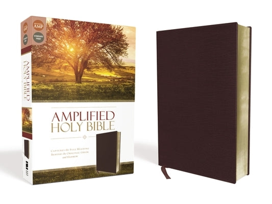 Amplified Bible-Am: Captures the Full Meaning Behind the Original Greek and Hebrew by Zondervan