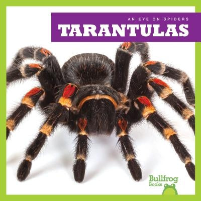 Tarantulas by Spanier, Kristine