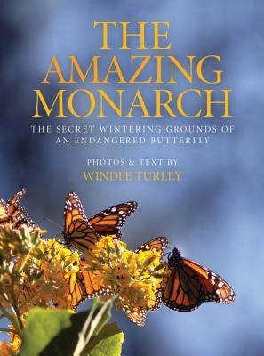Amazing Monarch: The Secret Wintering Grounds of an Endangered Butterfly by Turley, Windle