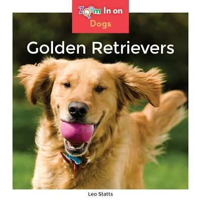 Golden Retrievers by Statts, Leo