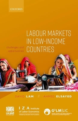 Labour Markets in Low-Income Countries: Challenges and Opportunities by Lam, David