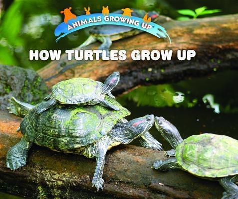 How Turtles Grow Up by Bozzo, Linda