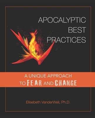 Apocalyptic Best Practices: A unique approach to fear and change by Schulte, Margaret Meps