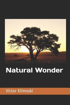 Natural Wonder by Klimoski, Victor