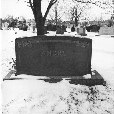 Carl Andre: Quincy by Andre, Carl