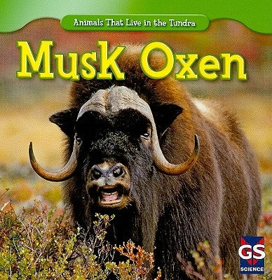 Musk Oxen by Patrick, Roman