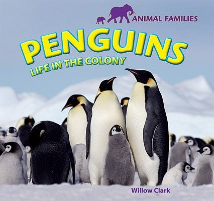 Penguins: Life in the Colony by Clark, Willow