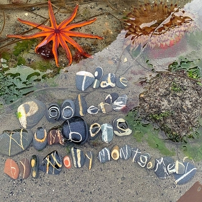 Tide Pooler's Numbers by Montgomery, Molly