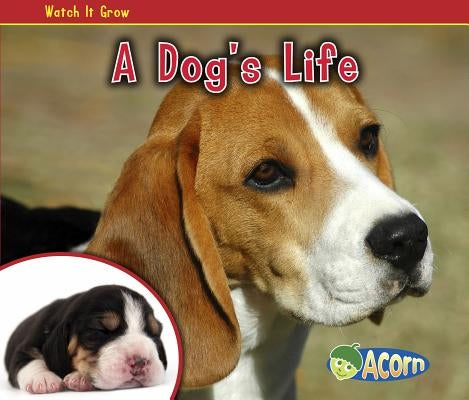 A Dog's Life by Dickmann, Nancy